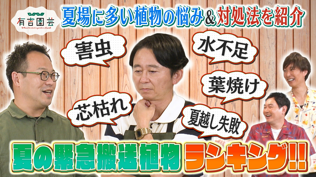 夏場の緊急搬送植物ランキング＆有吉オモトに異変発生!?