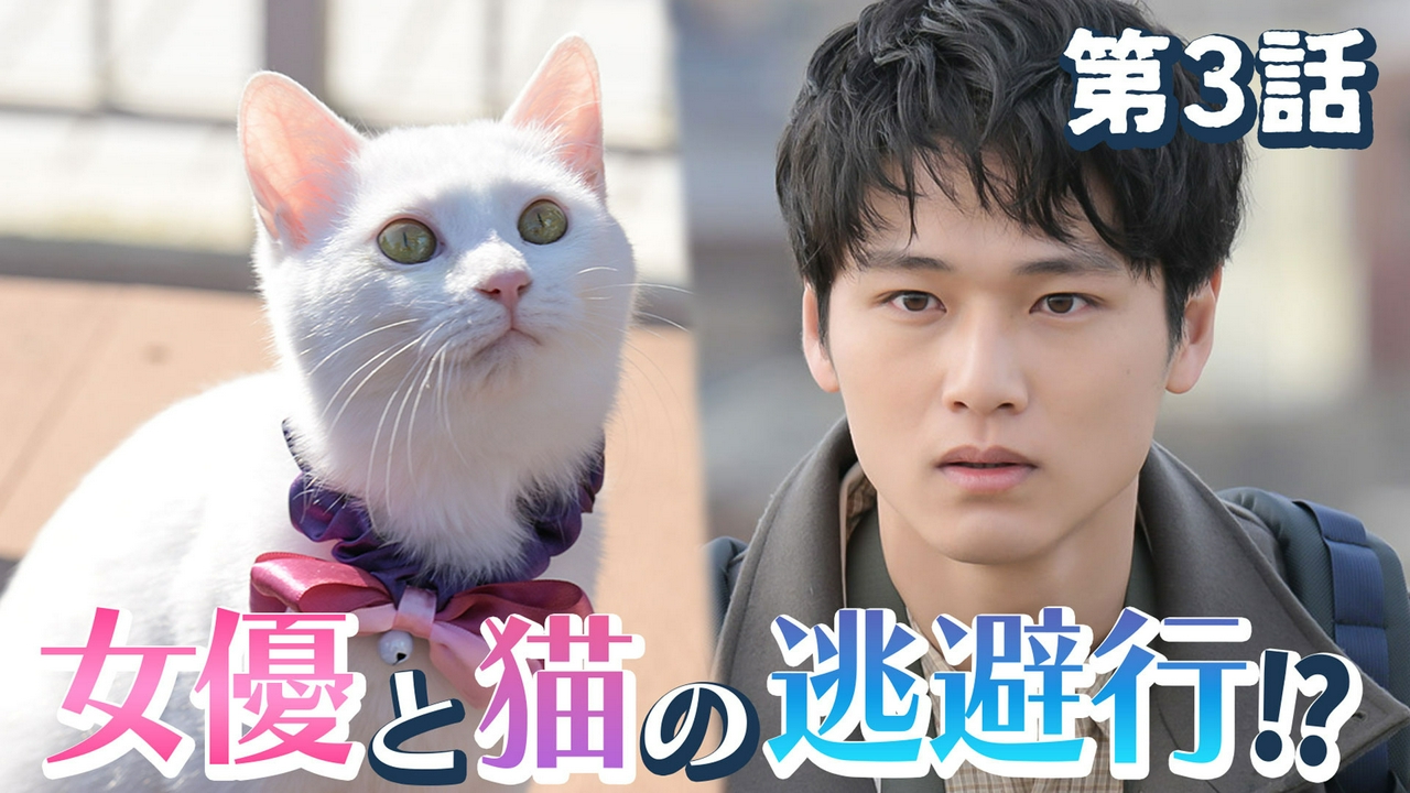 第3話「銚子・女優と猫の海辺の休日」
