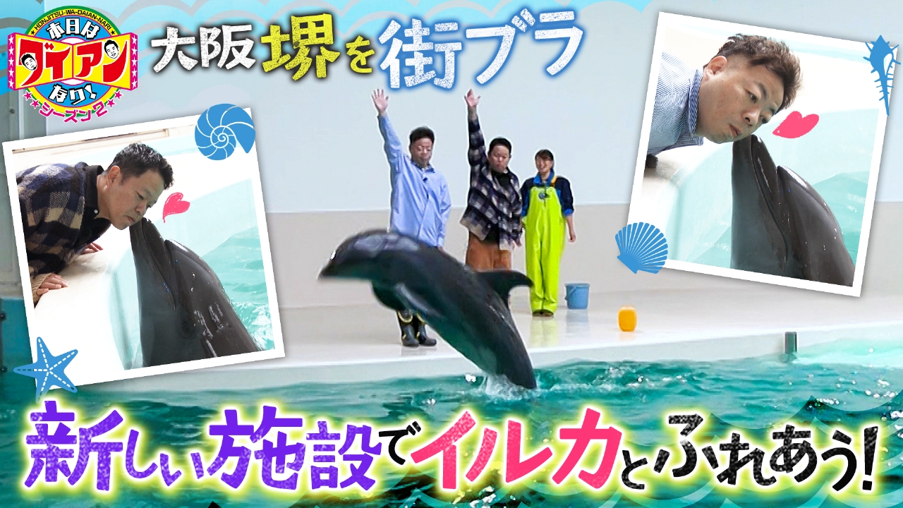 新しい施設でイルカとふれあう！