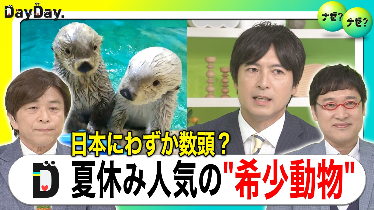 日本で見られない危機！？いま見ておきたい希少動物【ナゼ？ナゼ？】