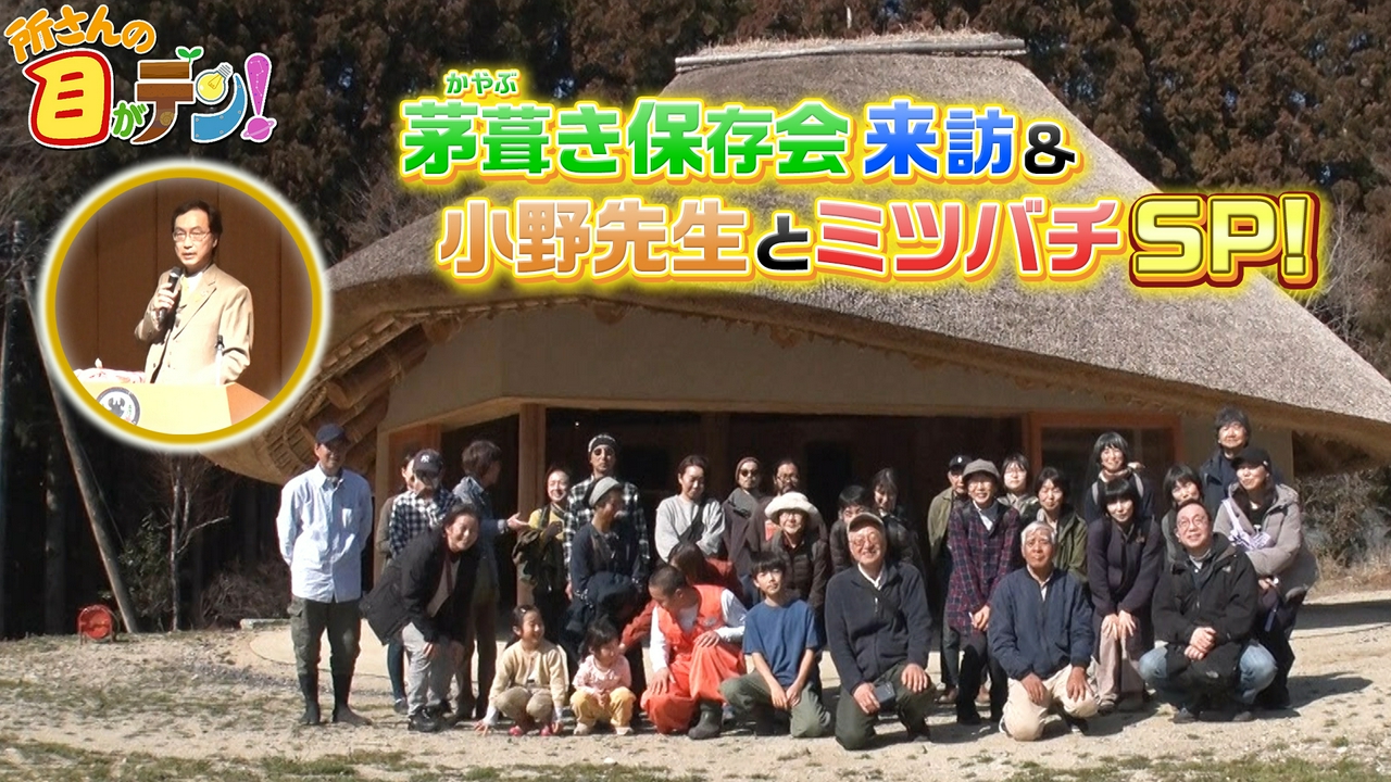 里のミツバチ担当・小野先生最終講義に所さんからメッセージ!