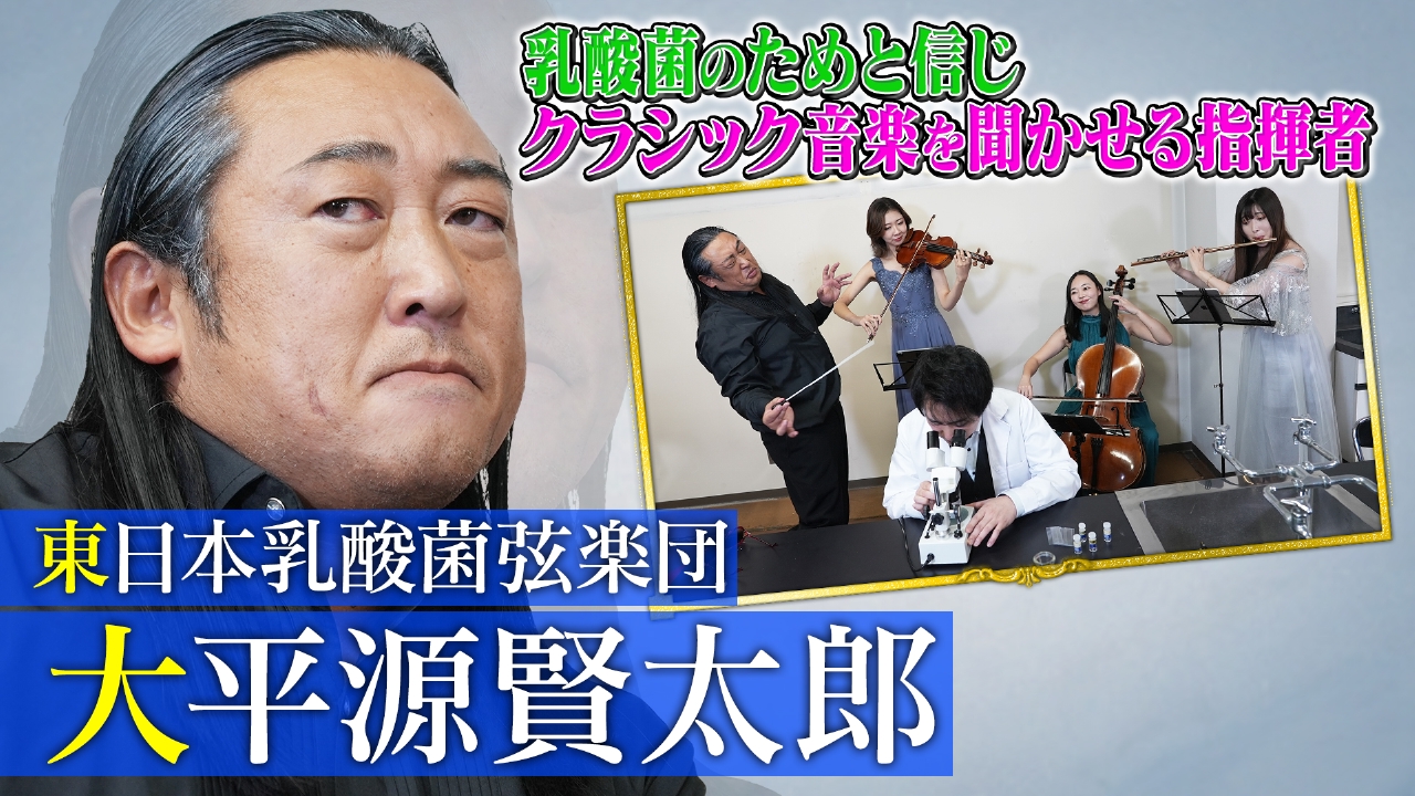 東日本乳酸菌弦楽団 大平源賢太郎（2）