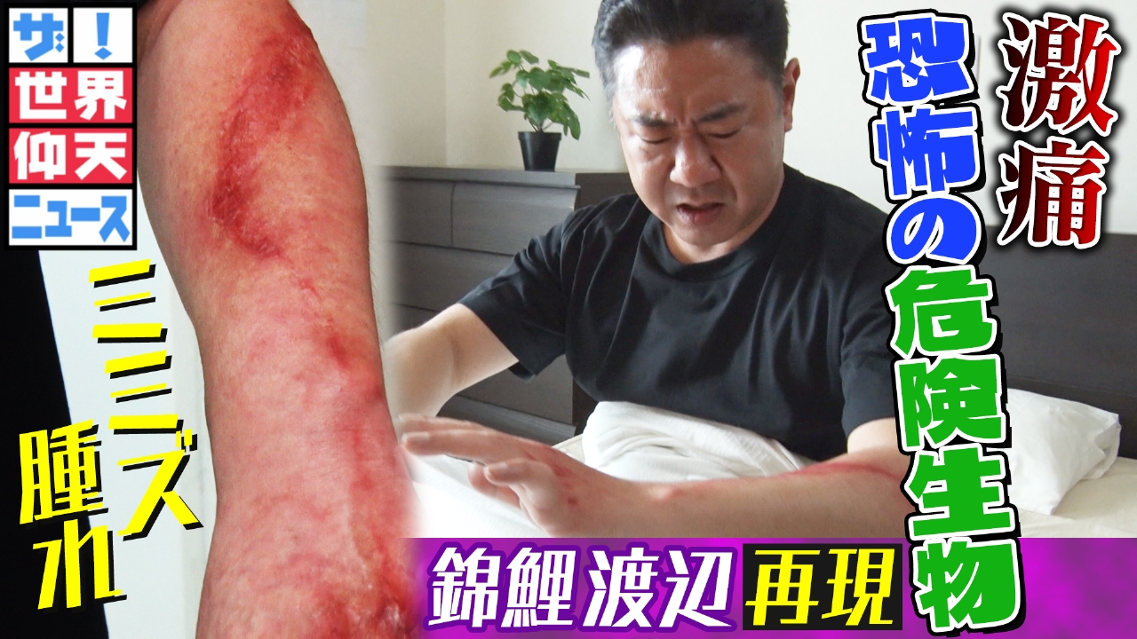 ４時間ＳＰ…肥満女子が変身！仰天チェンジ＆いとこで完全犯罪の手口