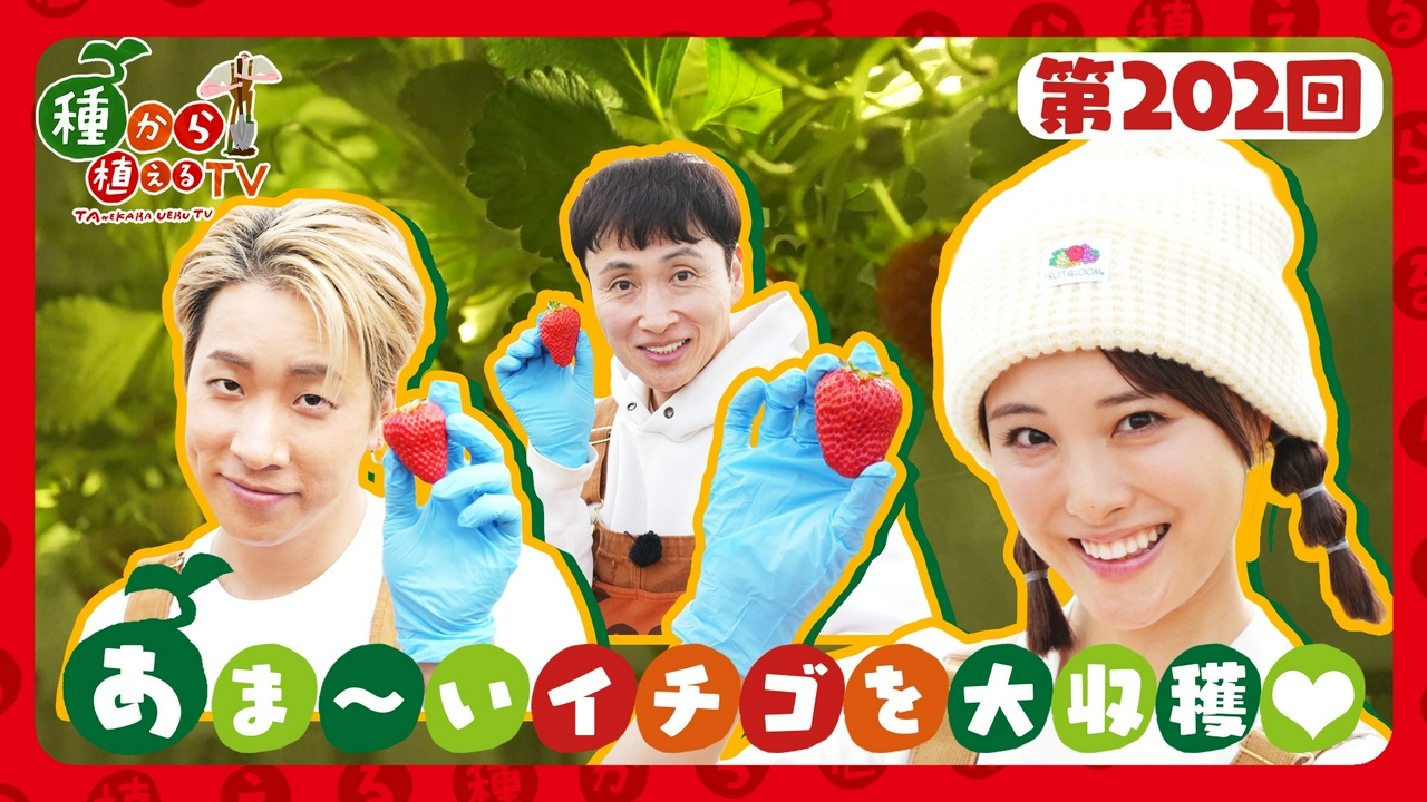 第202回 THE RAMPAGE陣＆大友花恋 真っ赤なイチゴを大収穫！雑学バトルも勃発!?