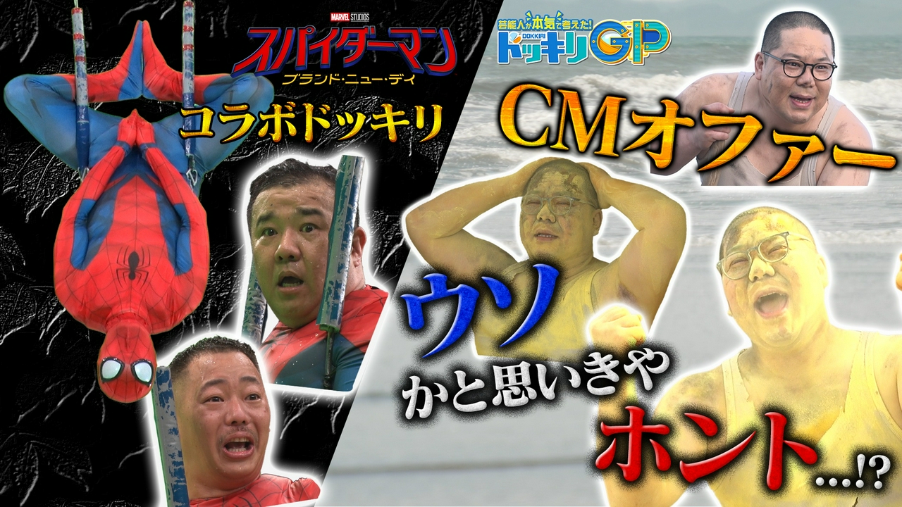 活動歴および当時の関連ビジュアル記録