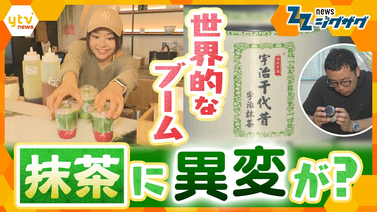 日本が世界に誇る「抹茶」に異変！一体何が？緊急取材【ニュース ジグザグ】