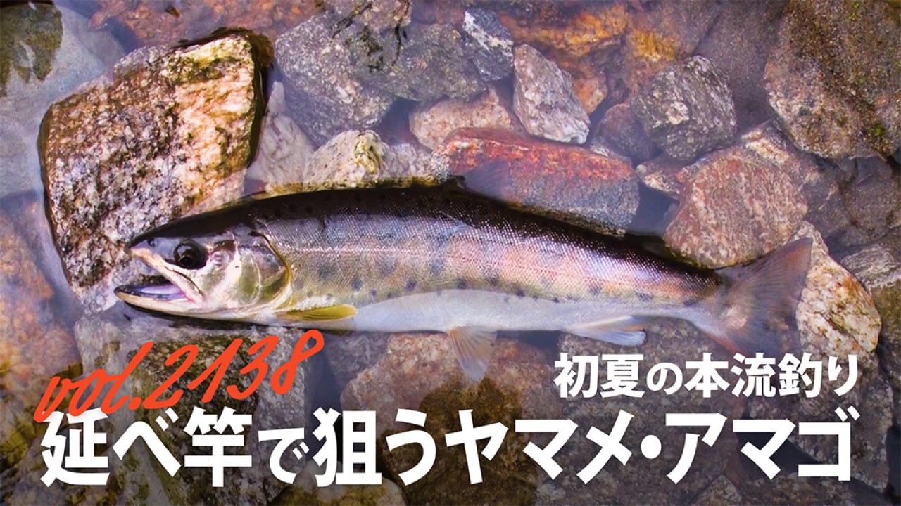 初夏の本流釣り 延べ竿で狙うヤマメ・アマゴ