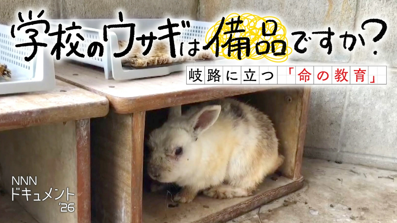 学校のウサギは備品ですか？～岐路に立つ「命の教育」～