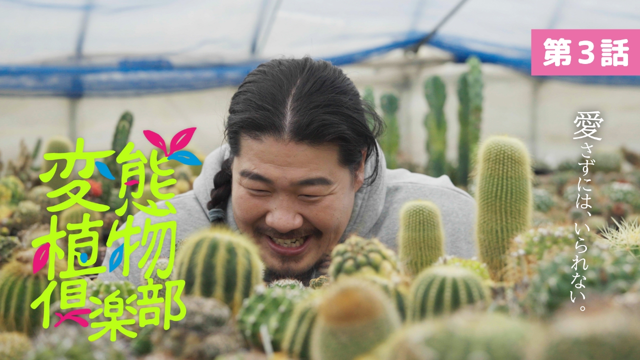 第3話「がばい！宝探し！多肉とサボテンの聖地」