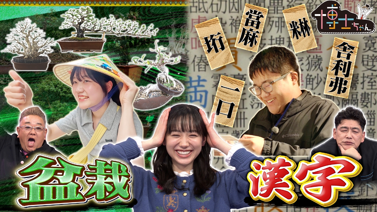 日本の伝統文化を愛する博士ちゃんSP