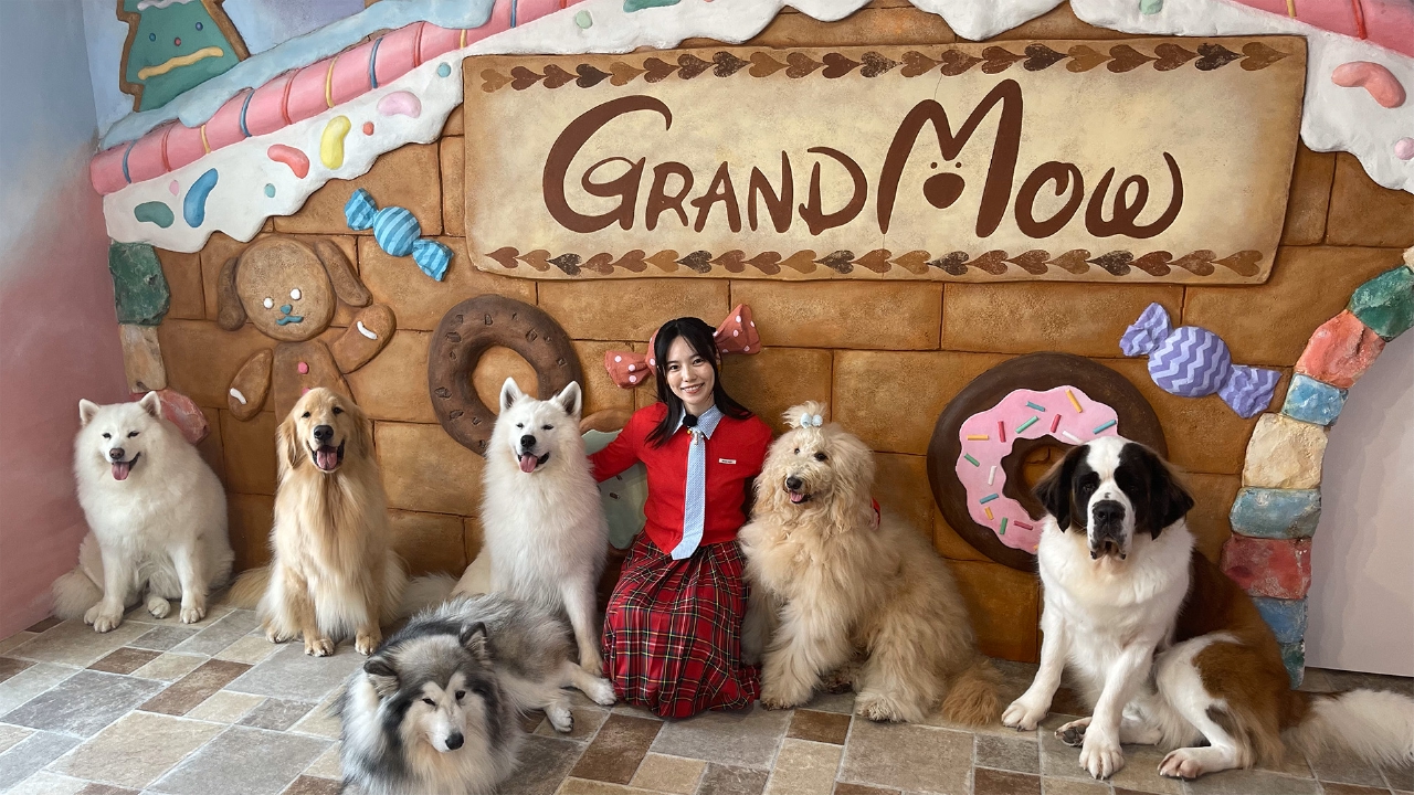 大型犬カフェでワンコモチーフのビュッフェを堪能！わんこ祭りに潜入