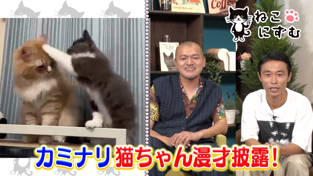 ねこにずむ ～猫を愛するすべてのみなさまへ～