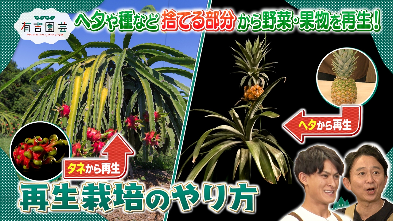 誰でも簡単！そらベジ先生直伝の再生栽培