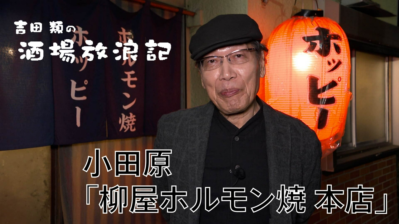 小田原「柳屋ホルモン焼 本店」