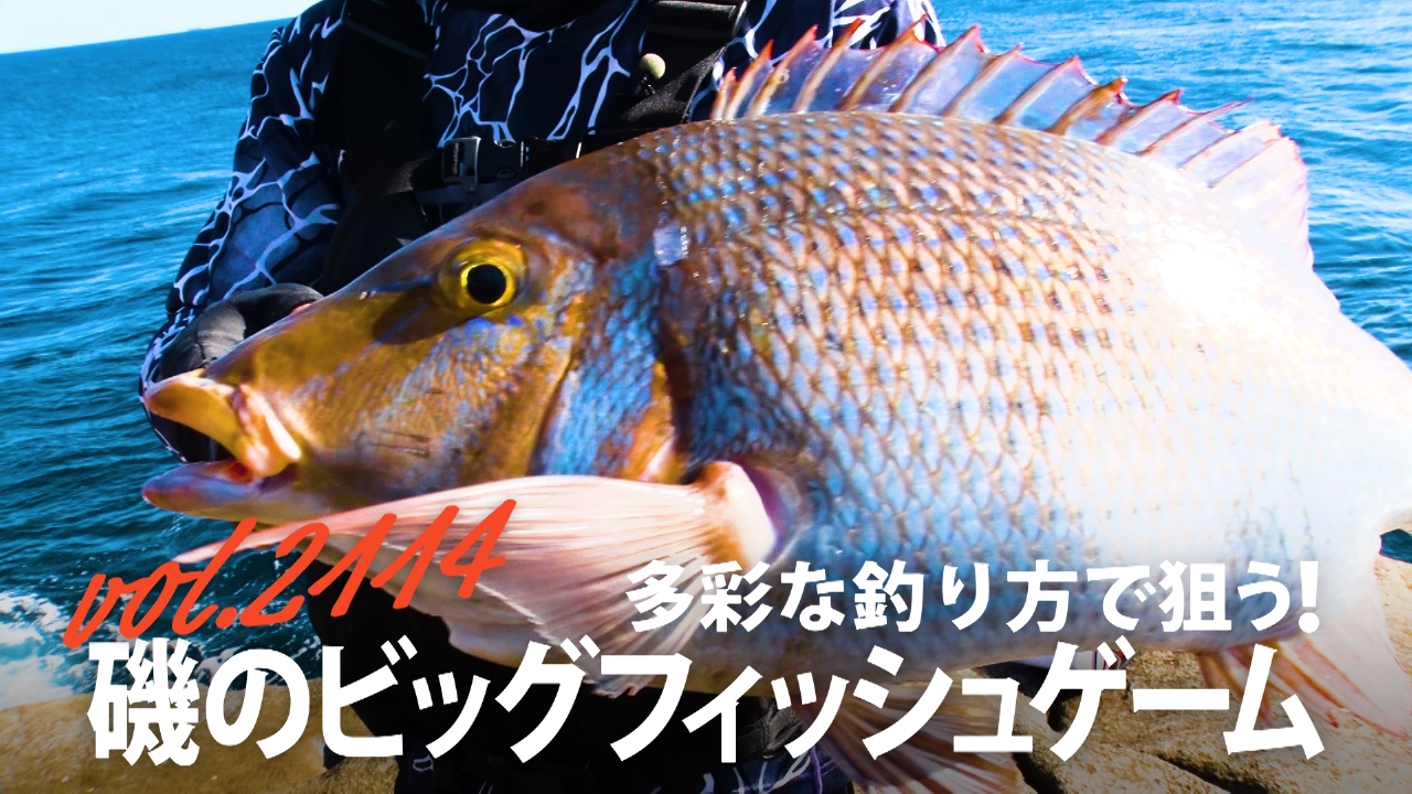 多彩な釣り方で狙う！ 磯のビッグフィッシュゲーム