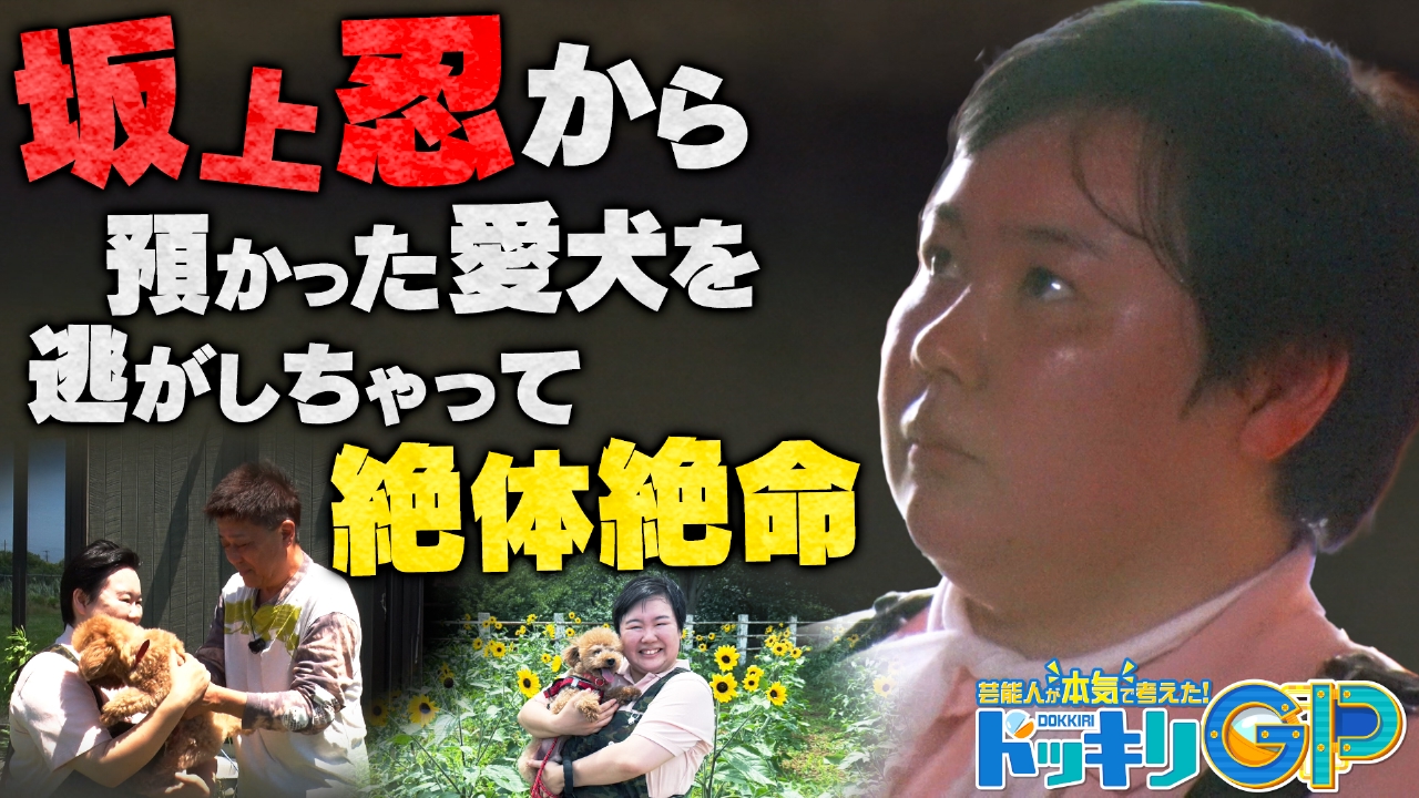 坂上忍の犬が逃げた！やす子大捜索SP後編