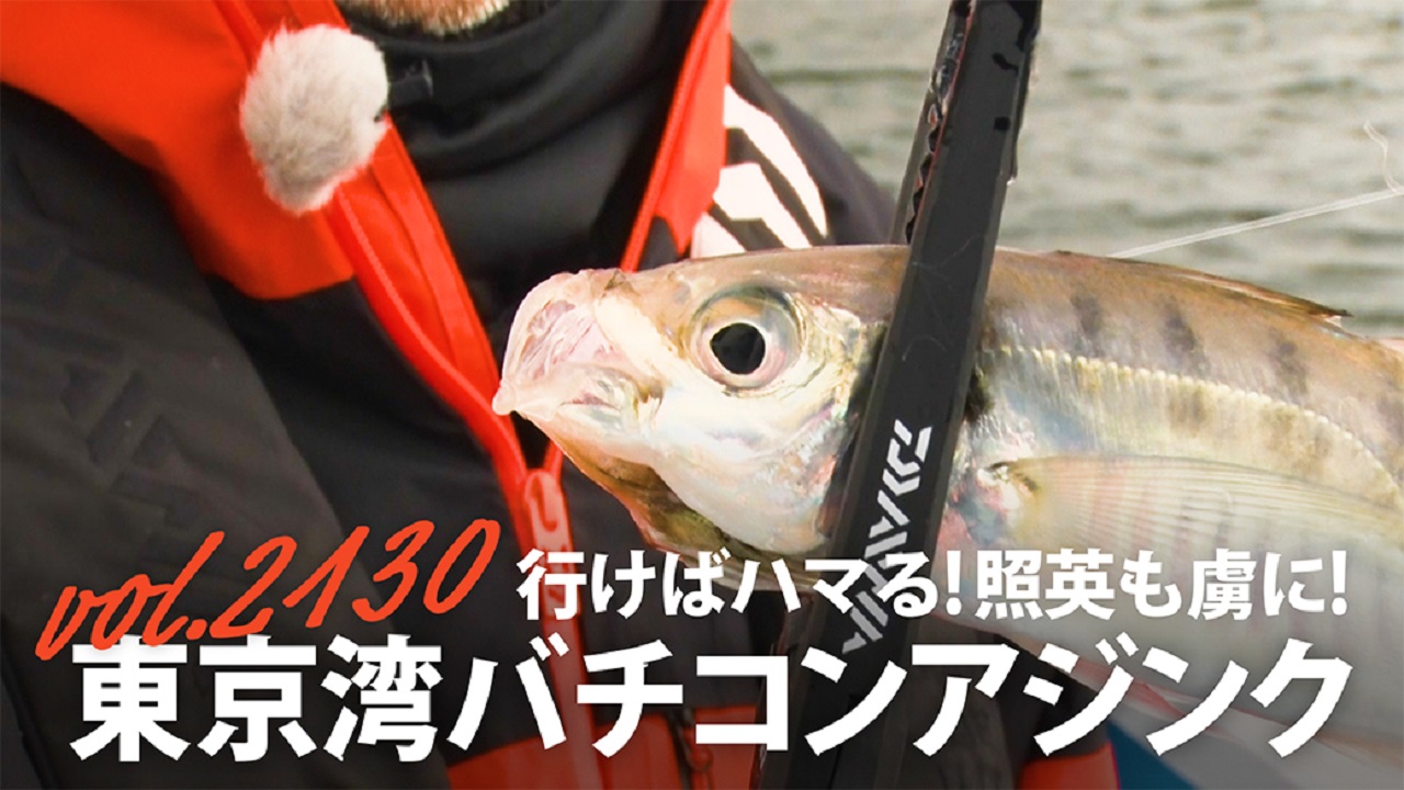 行けばハマる！照英も虜に！東京湾バチコンアジング