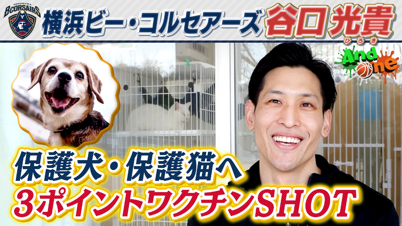 横浜ビー・コルセアーズ 「3ポイントワクチンショット」愛犬家選手が動物守るプロジェクト