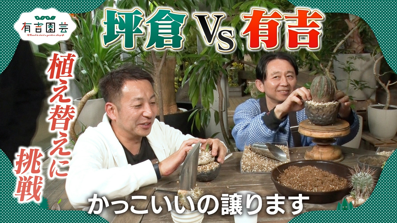 センスが光る！オリジナルの鉢が完成