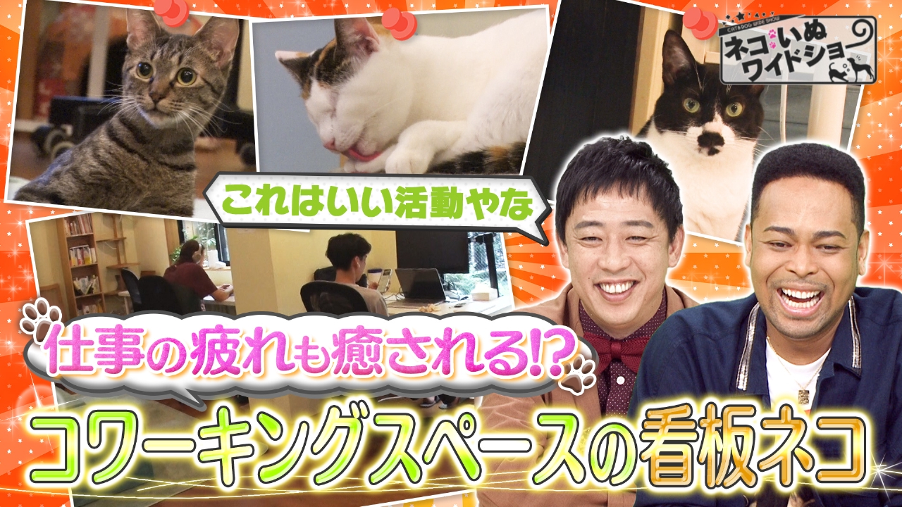 ＃152 ゲスト：EXILE NESMITH