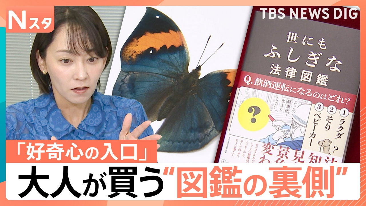 大人もハマる！進化する図鑑の世界【Nスタ】