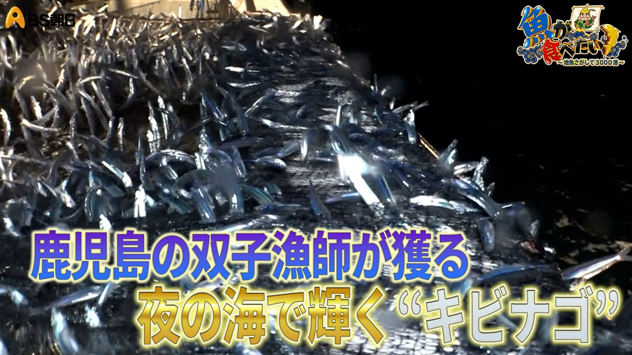 絶品のサツマアマエビ！深海魚の魅力を発信する若手漁師も！