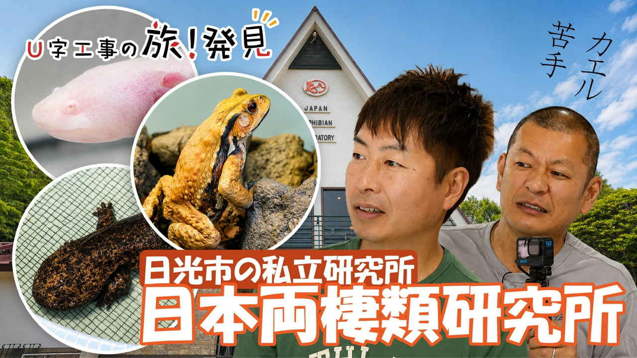 日本両棲類研究所