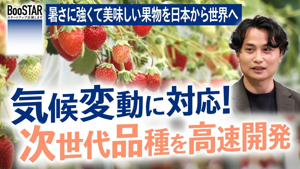 気候変動に対応！次世代品種を高速開発～暑さに強くて美味しい果物を、日本から世界へ～