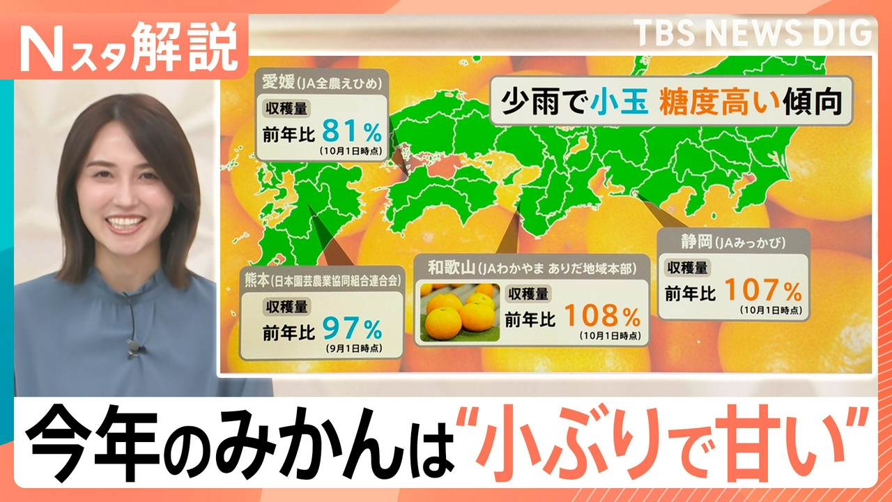 みかんの季節到来！今年は小玉で糖度が高い【Nスタ】