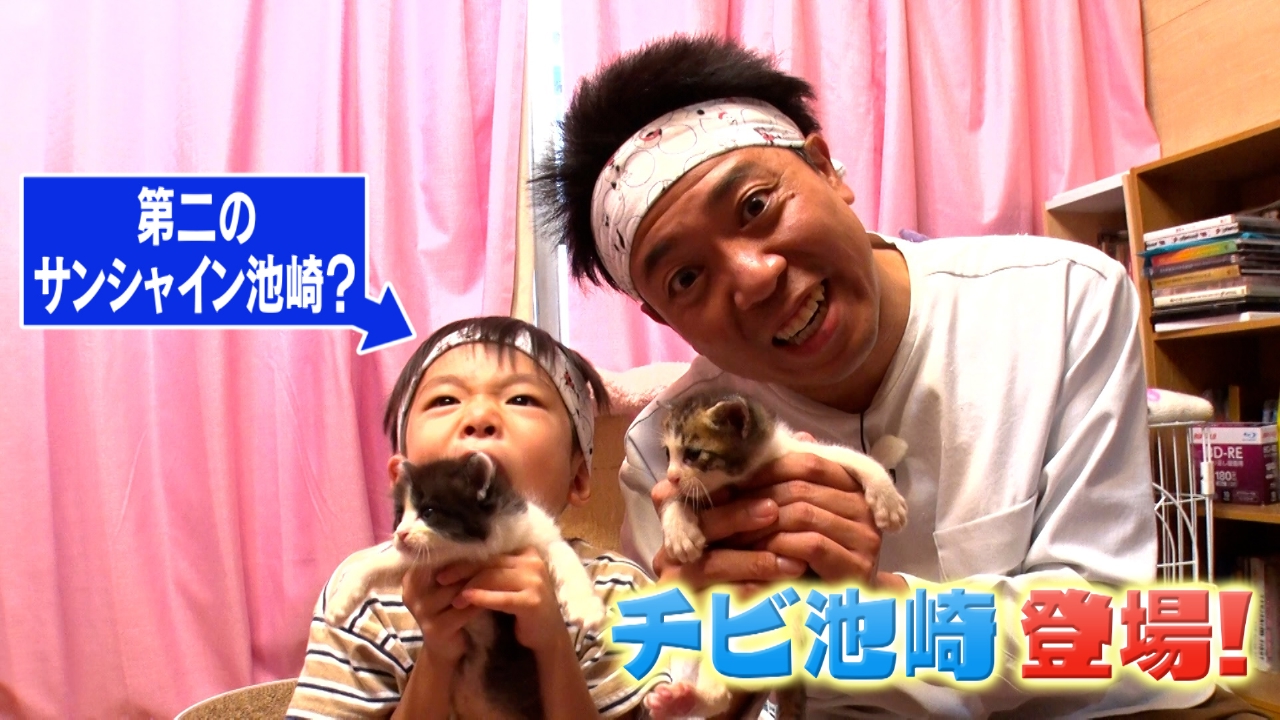 サンシャイン池崎に憧れる５歳の猫男子が登場！自由気ままに過ごす看板猫