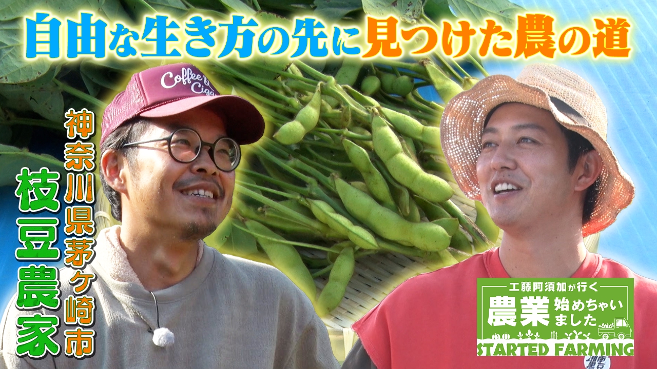 湘南のブランド枝豆に夢をのせて！自由な生き方の先に見つけた農の道