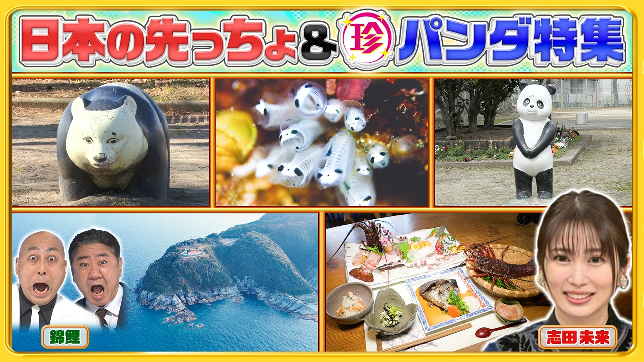 パンダロス解消!?全国の珍パンダ特集＆半島の先っちょ大調査SP
