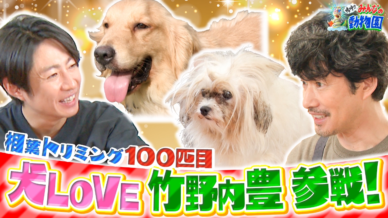 相葉トリミングに竹野内豊&ティモンディ前田のモンローは今