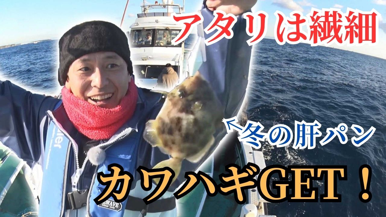 冬の定番・食べて美味しいカワハギ狙い♪ カワハギ釣りならまかせろ！