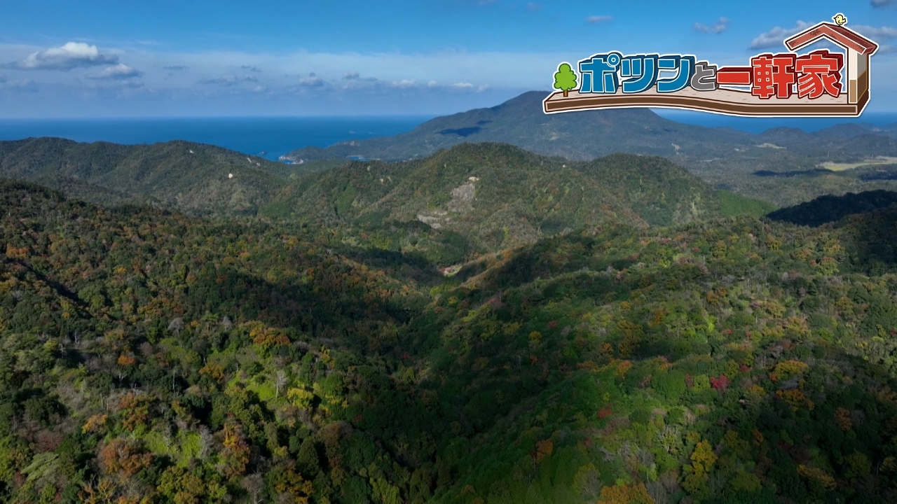 山口県の深い山の中。そこは地元住民でさえ通ることのない荒廃した山道だった！行く手を阻む走行困難な山道の先、捜索隊をまさかの事態が襲う…！？