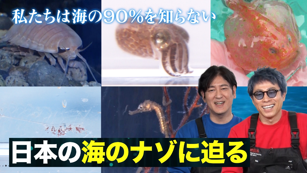 「幼魚」大集合＆深海に眠る暗黒酸素＆海藻革命