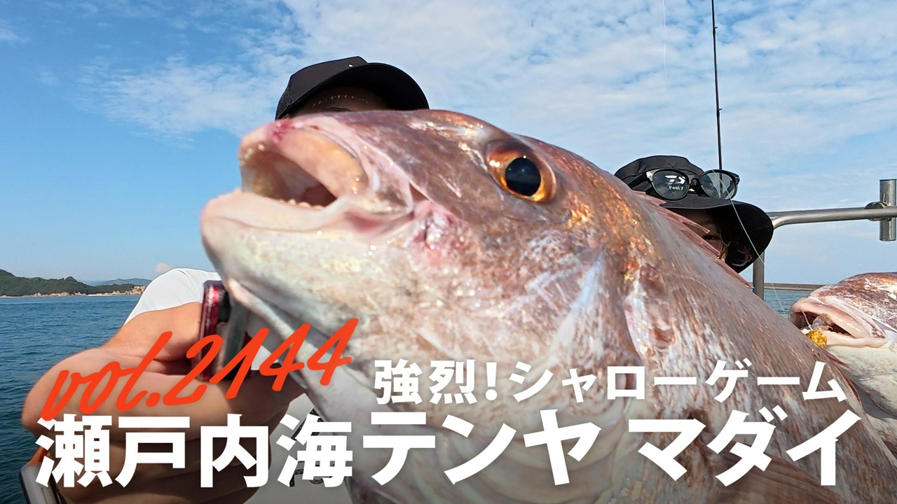 強烈！シャローゲーム 瀬戸内海テンヤマダイ