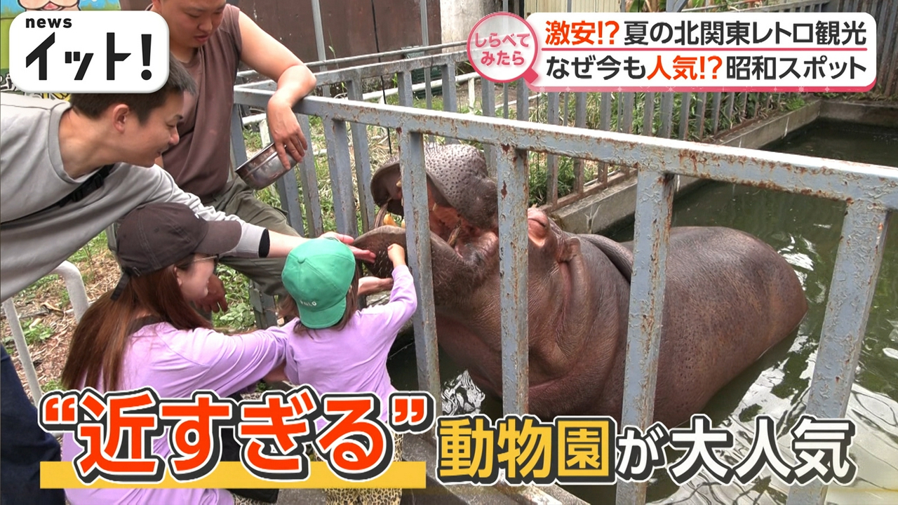 なぜ今も人気？夏の北関東レトロ観光