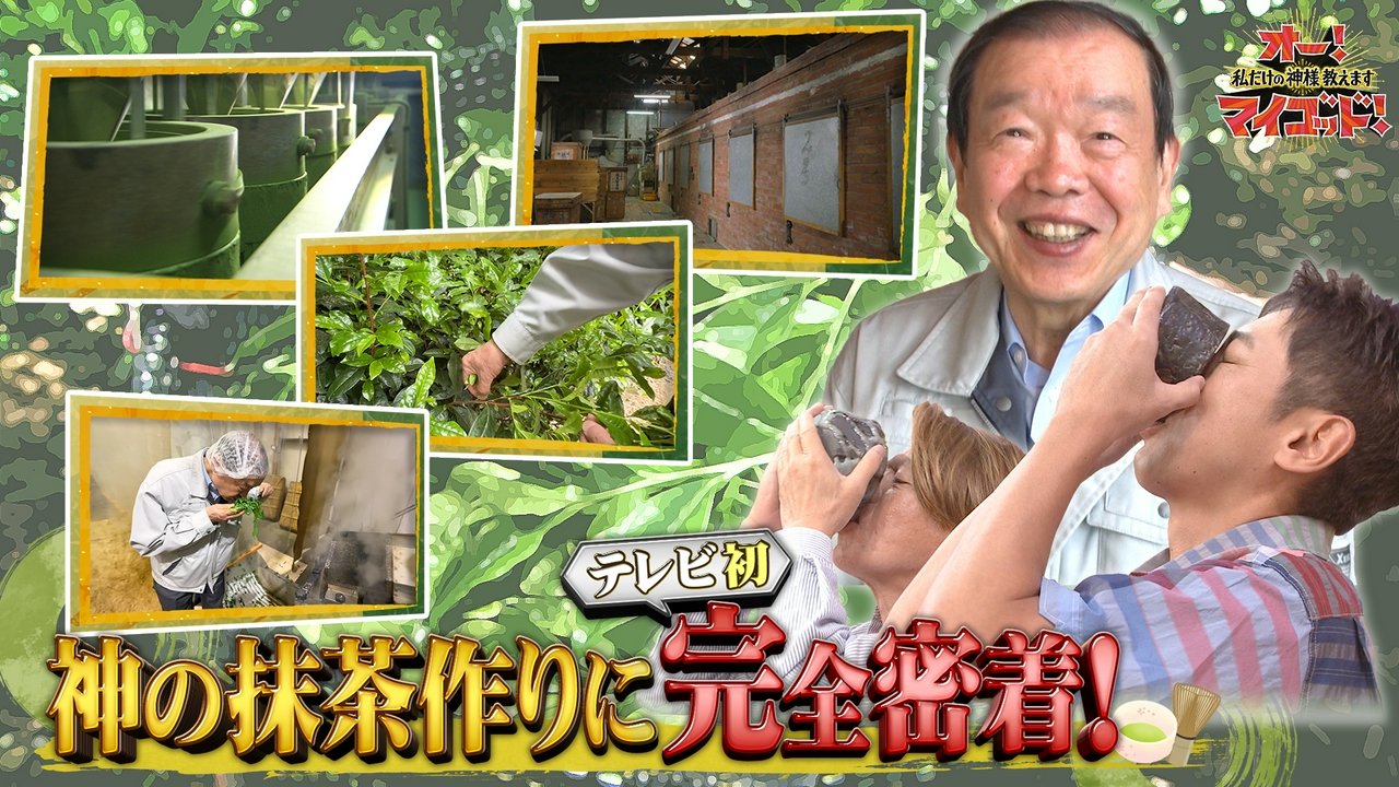 世界的ブームの「抹茶」作りに完全密着▼シェイカーで簡単冷抹茶