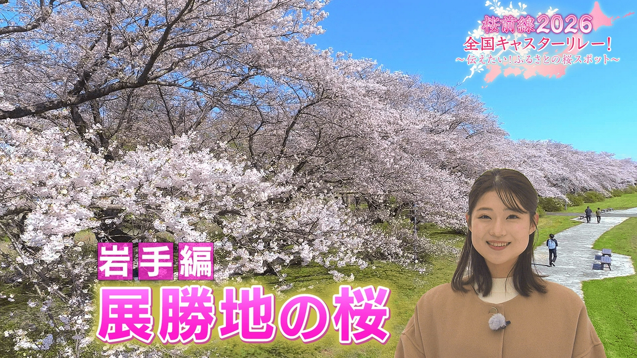 岩手編「展勝地の桜」