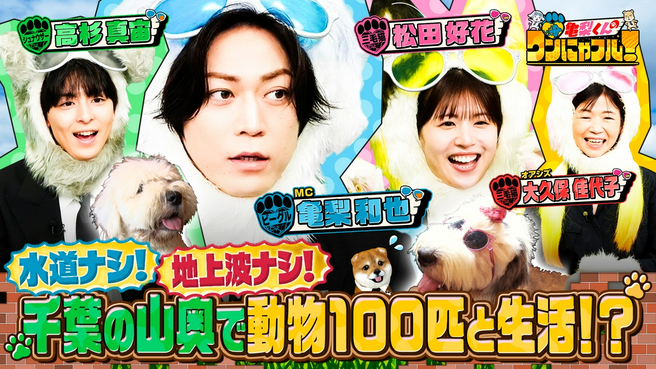 【未公開トーク付】MC：亀梨和也！千葉山奥で動物達と【秘境生活】世界6大猫スポット潜入