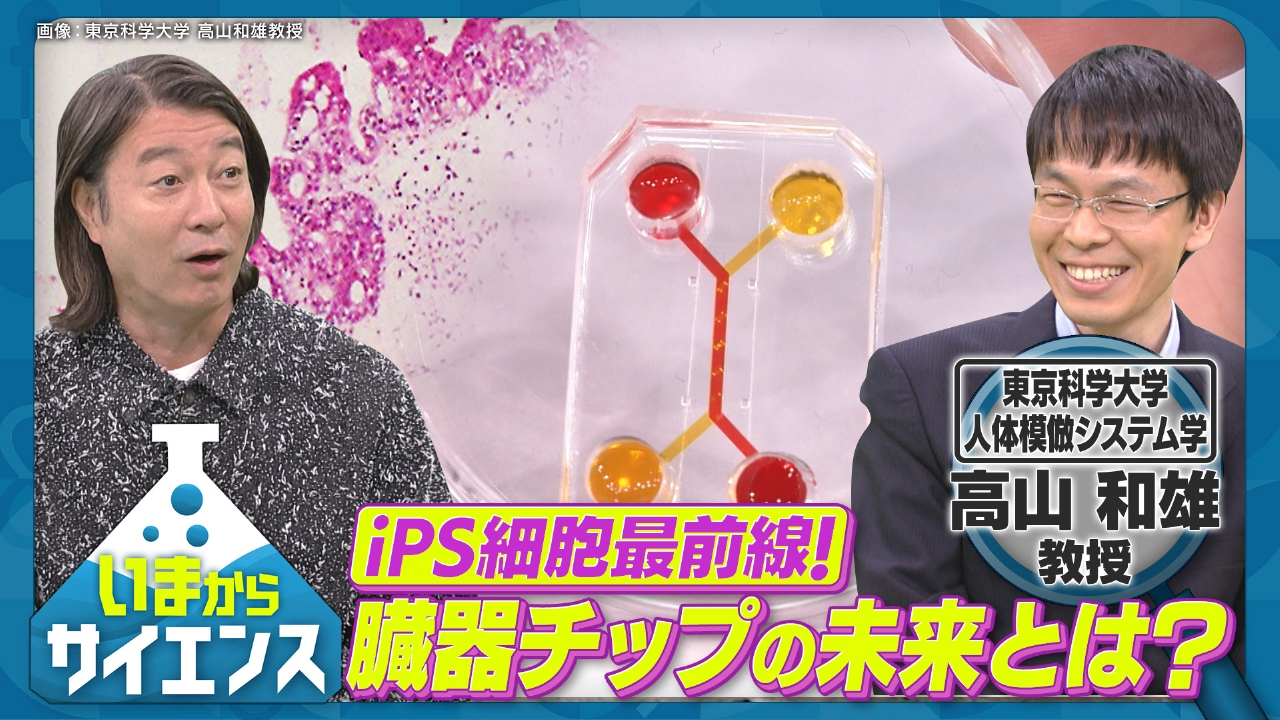 人間の臓器を再現！臓器チップの可能性 高山和雄（東京科学大学 人体模倣システム学 教授）