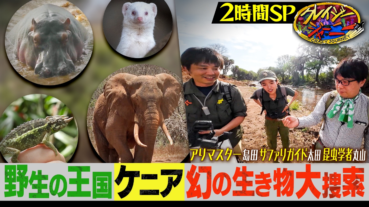 2時間SP☆世界的快挙！世界最大の女王アリ＆神の化身捕獲成功