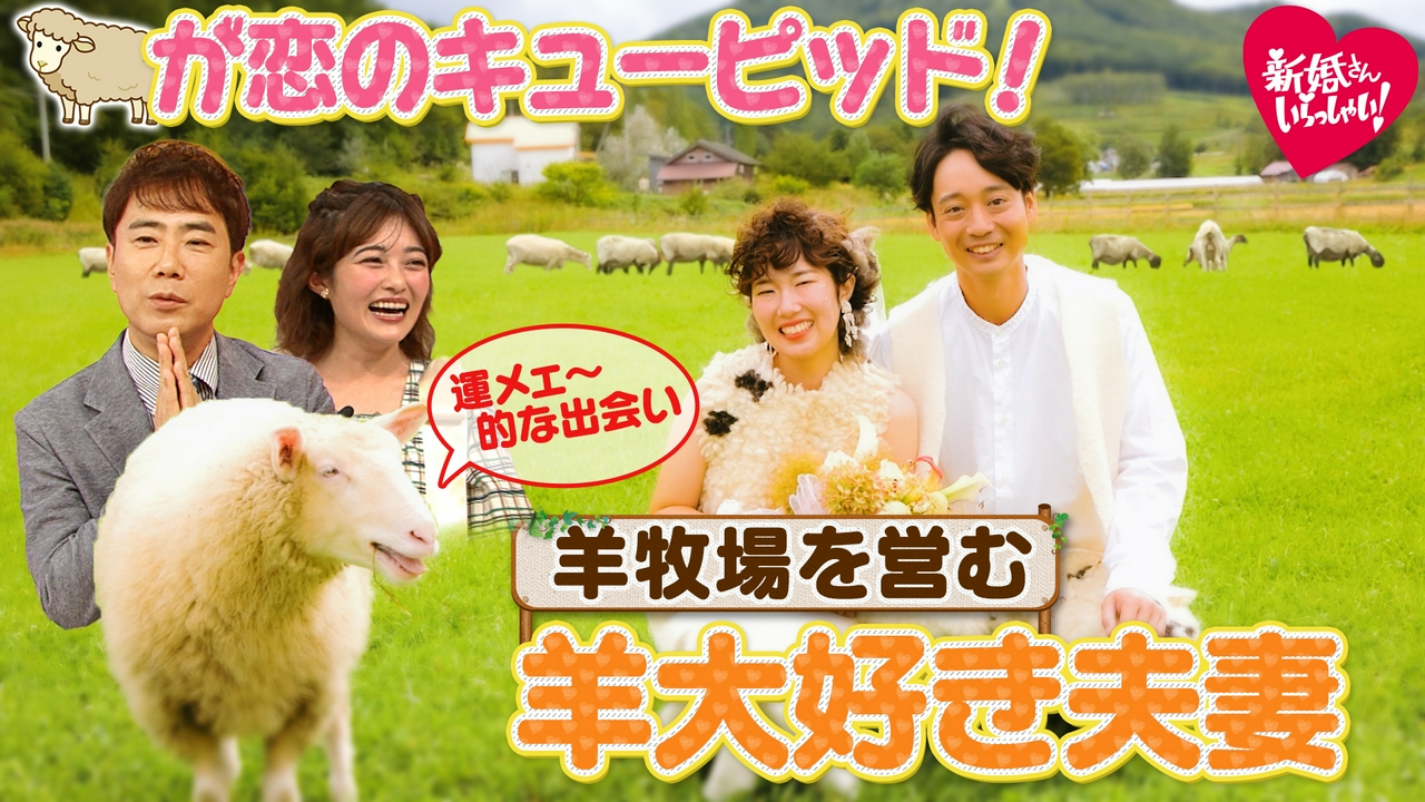 運メェ〜的な出会い！？恋のキューピッドは羊！羊牧場を営む夫婦の"羊だらけ"結婚パーティーに仰天！