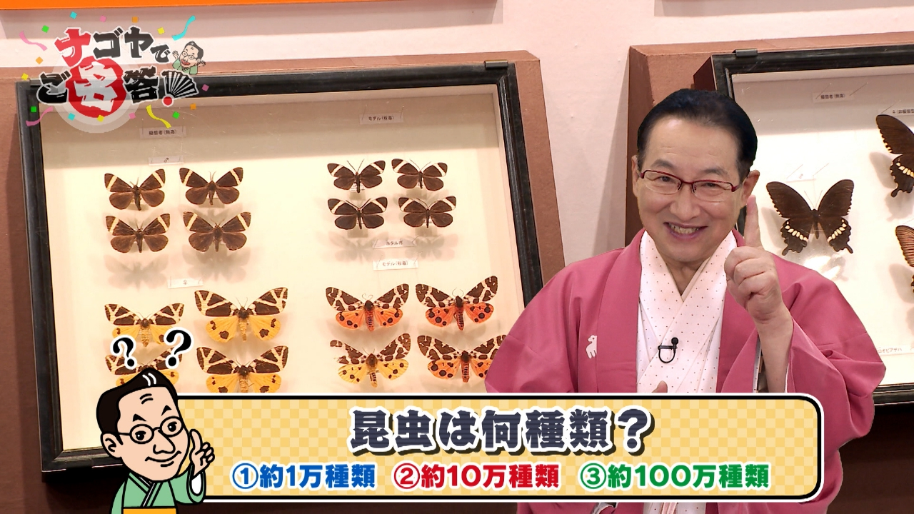 名古屋市科学館　特別展　昆虫ＭＡＮＩＡＣ