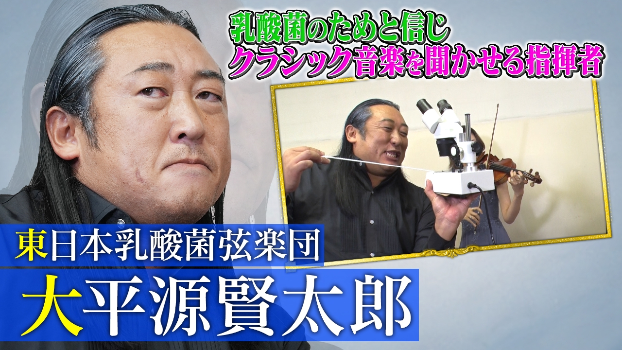 東日本乳酸菌弦楽団 大平原賢太郎（1）