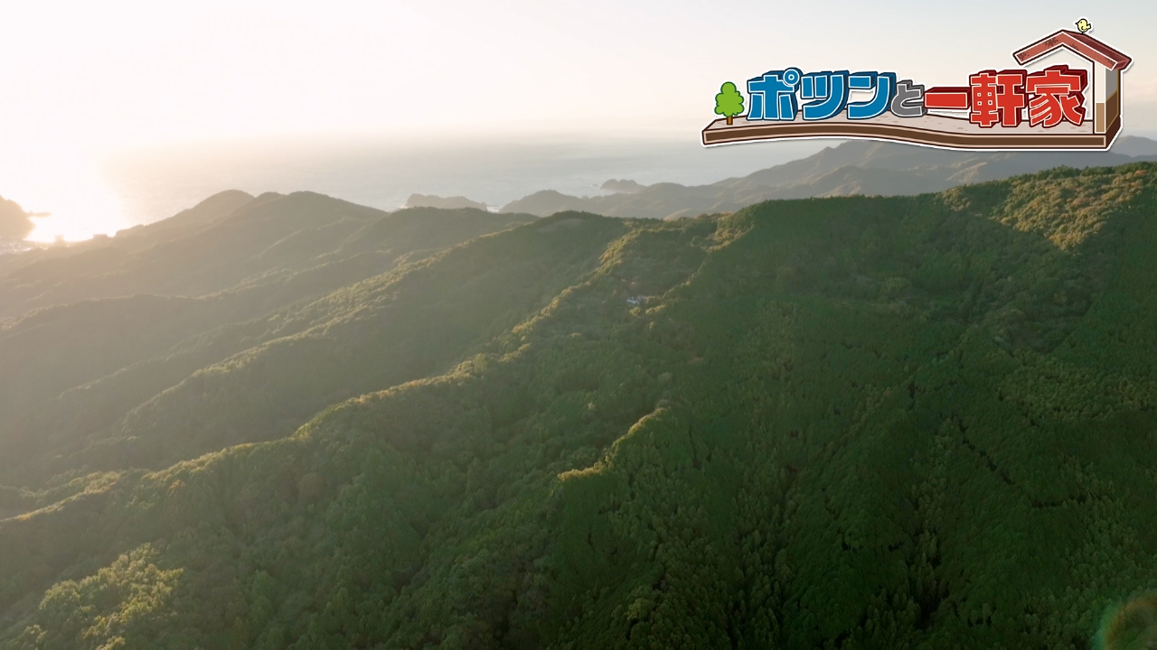 静岡県・伊豆半島で出会った、日々を楽しむ家族の自由なポツン暮らし。林修も思わず「自由の尊さを感じました」と語った、笑顔の絶えない家族のライフスタイルとは…！？