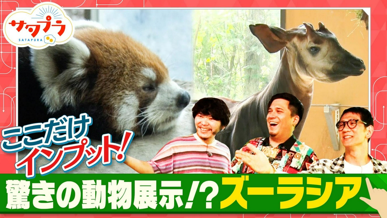 【後編】13商品が大混戦!!『ケチャップ』ランキング！木村昴＆アンタ柴田がメガヒット中のズーラシアへ！正門＆河井ゆずる！川越いもで絶品レシピ！鈴木杏樹＆尾上松也＆堀田真由（＃583）