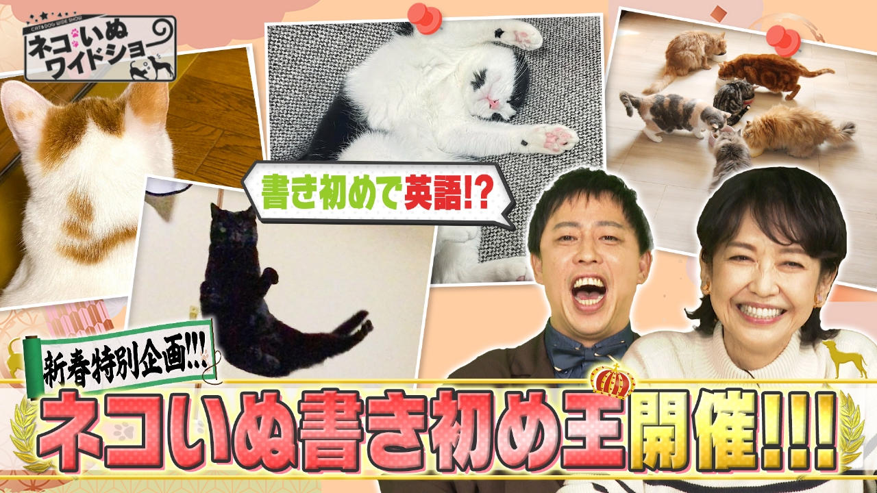 新年の決意！ネコいぬ書き初め王決定戦！