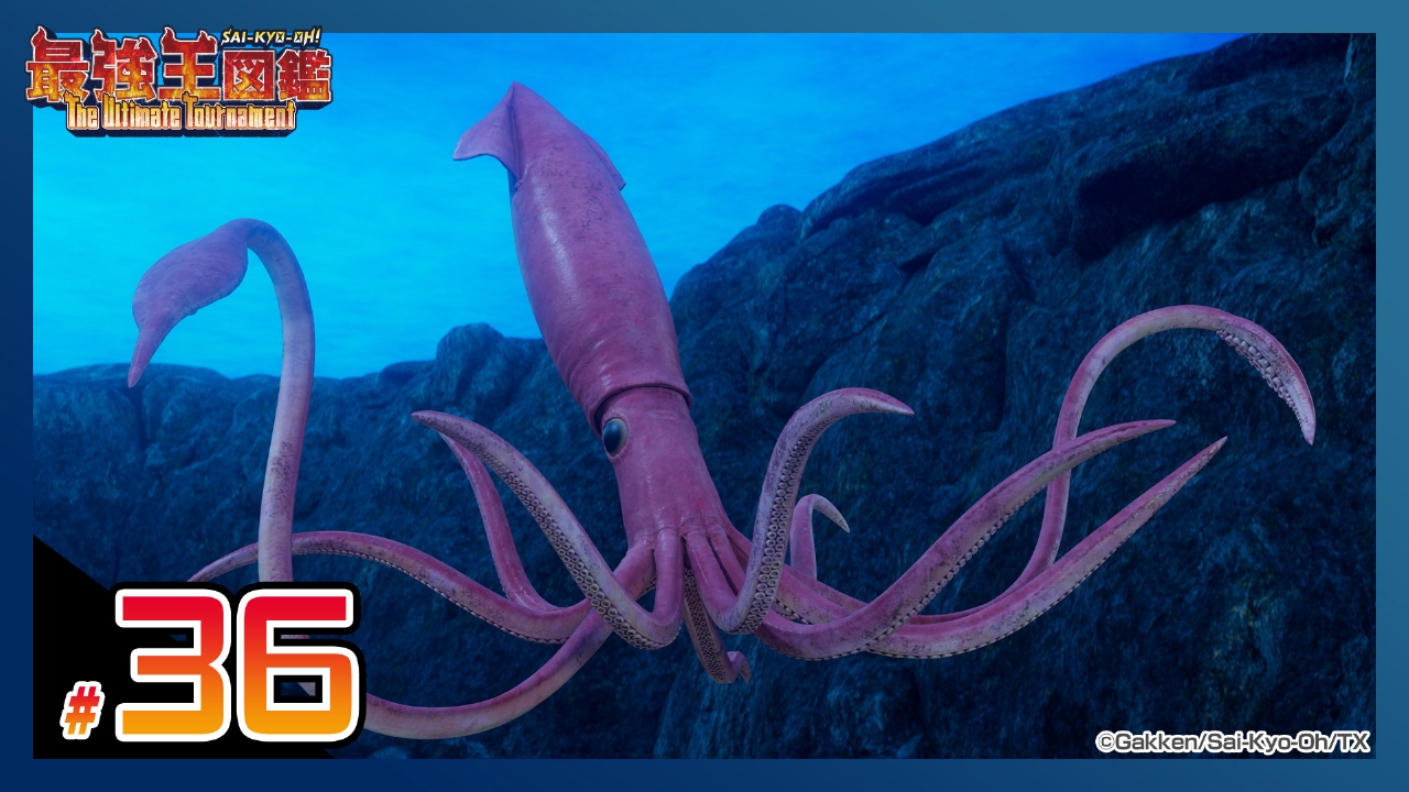 【スペシャルエキシビション】ダイオウイカ VS ティタノボア